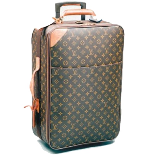 Louis Vuitton Pegase 55 Protective Covered Case Case